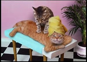 Soins à la carte (1)