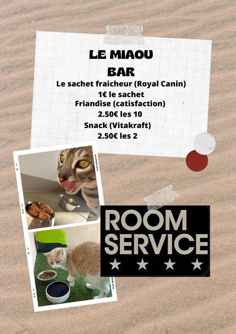CATS COINS DU MONDE