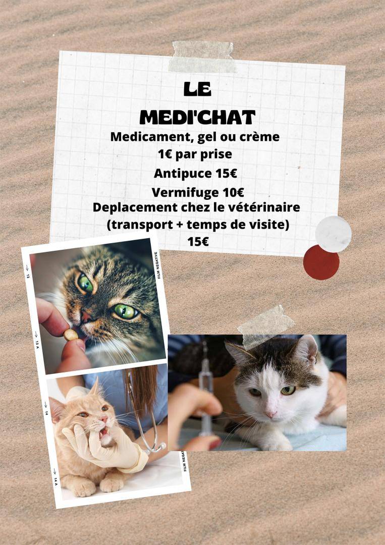 CATS COINS DU MONDE