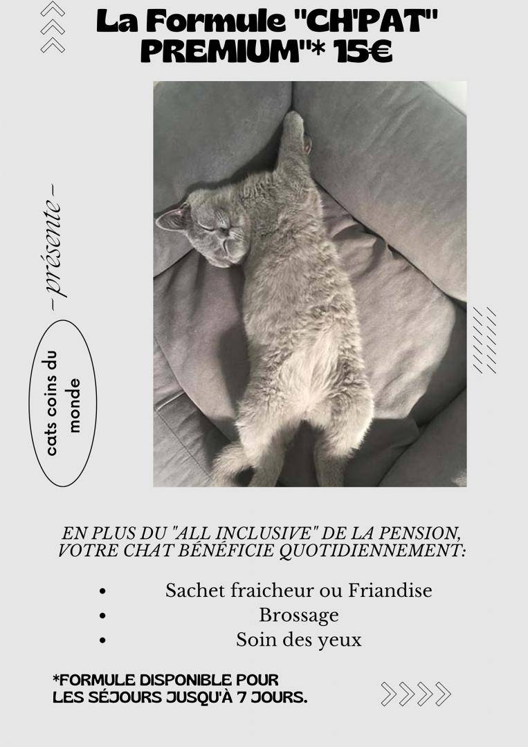 CATS COINS DU MONDE