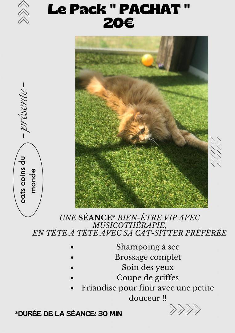 CATS COINS DU MONDE
