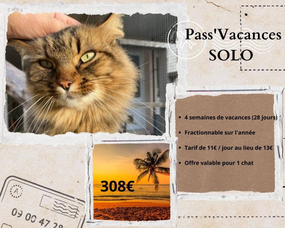 formule solo
