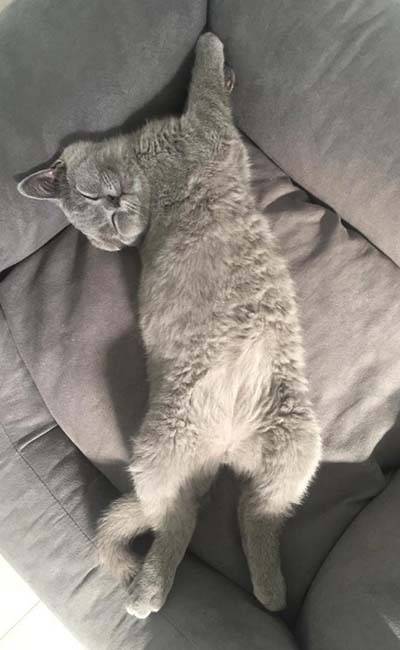 NALA DES CALINS DIVINS (5)