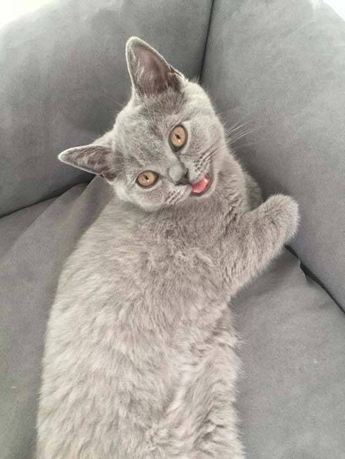 NALA DES CALINS DIVINS (6)